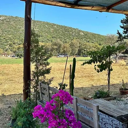 Tatil Evi Tiny House Patara Kaş
