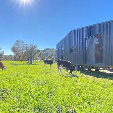Tatil Evi Tiny House Patara