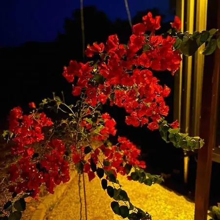 Tatil Evi Tiny House Patara Kaş